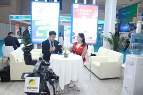 精準(zhǔn)把握市場動向，沈陽偉嘉以技術(shù)驅(qū)動服務(wù)創(chuàng)新